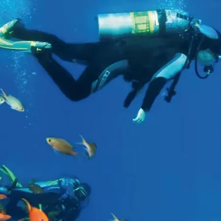 Margherita Bilocale - Taunus Vacanze Apartment Numana